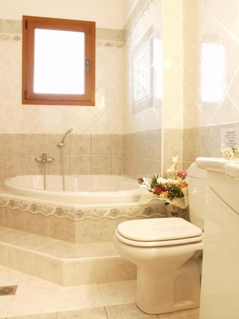 Hotel Archontiko Dimitra Wergina Pokój zdjęcie